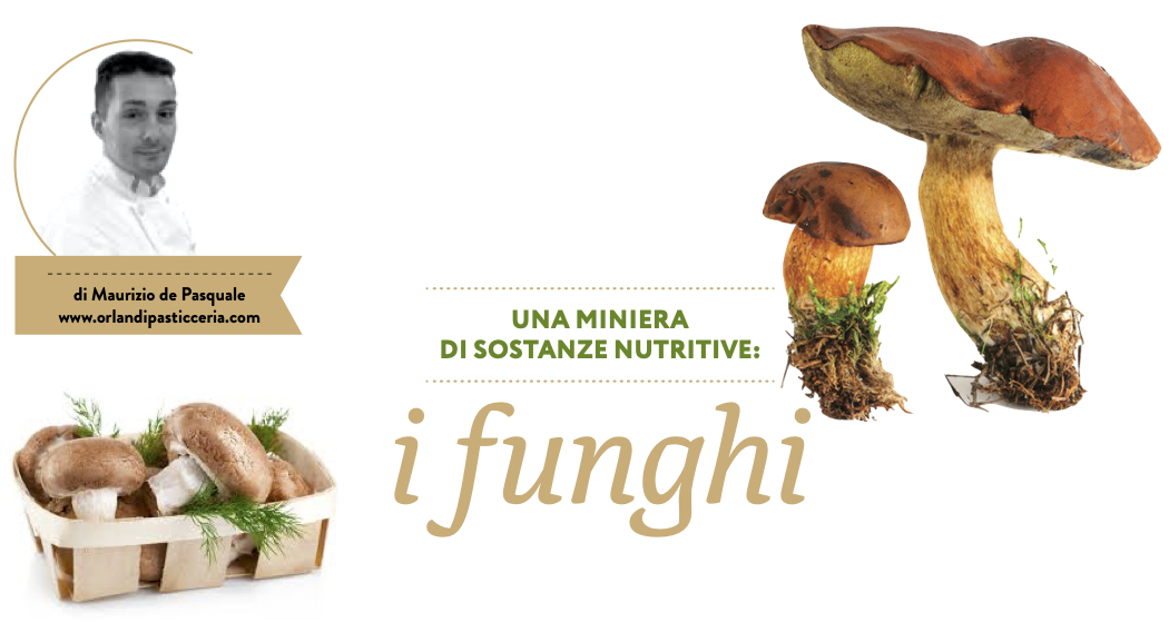 I funghi: una miniera di sostanze nutritive!